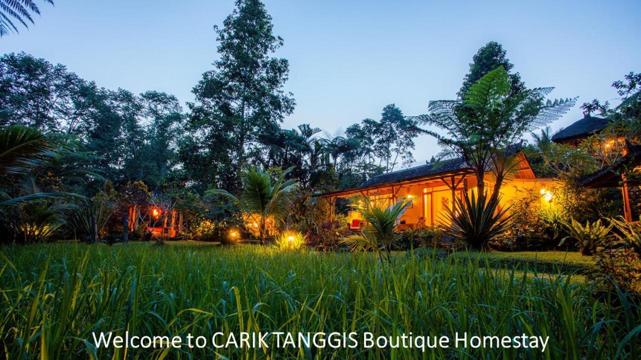 Carik Tangis Boutique Homestay Джатилувих Экстерьер фото